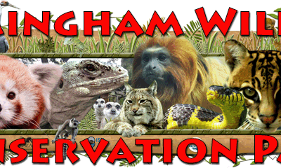 Birmingham Conservation Park