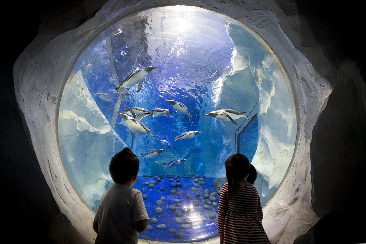 National Sea Life Centre